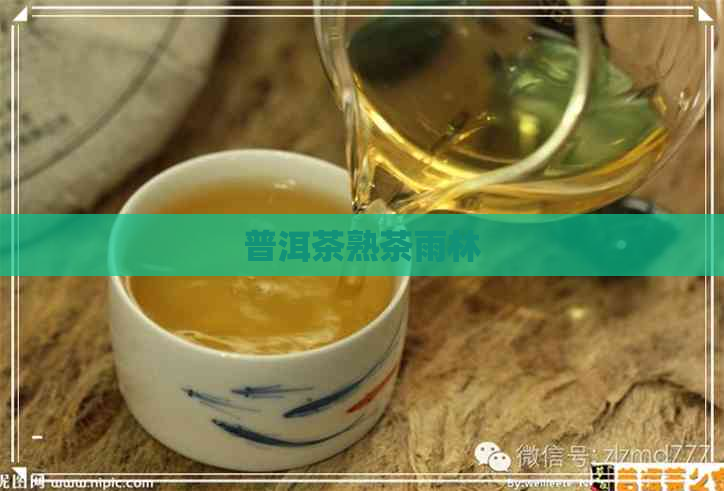 普洱茶熟茶雨林