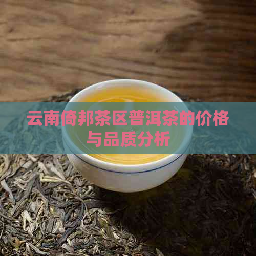 云南倚邦茶区普洱茶的价格与品质分析