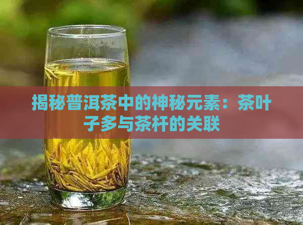 揭秘普洱茶中的神秘元素：茶叶子多与茶杆的关联