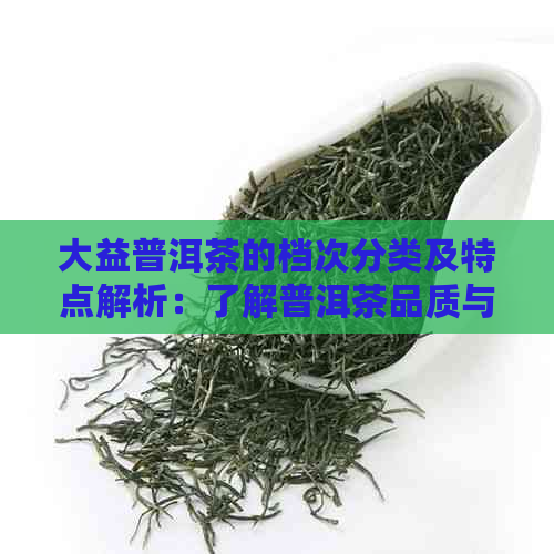 大益普洱茶的档次分类及特点解析：了解普洱茶品质与市场定位