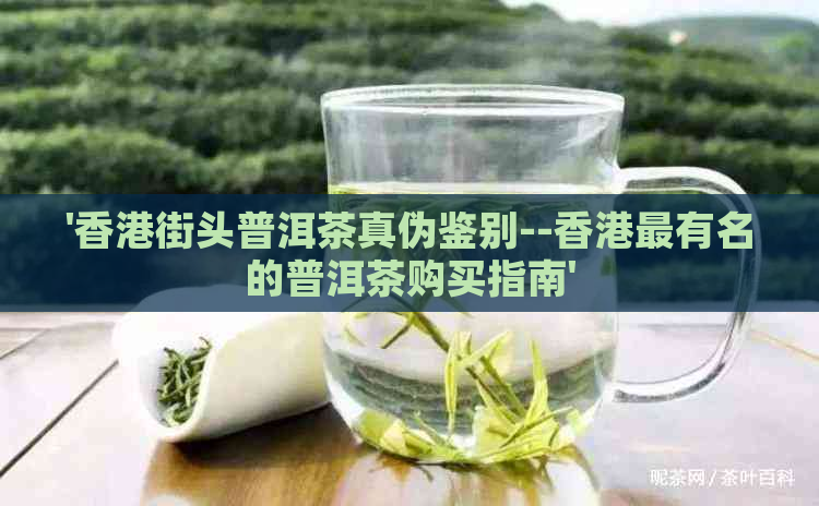 '街头普洱茶真伪鉴别--最有名的普洱茶购买指南'