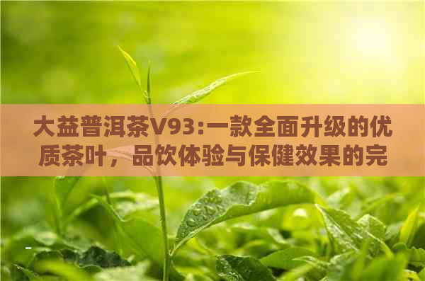 大益普洱茶V93:一款全面升级的优质茶叶，品饮体验与保健效果的完美结合