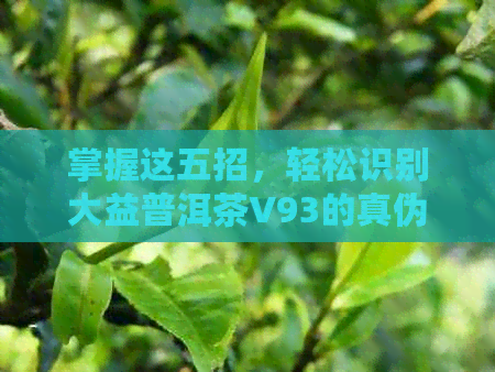 掌握这五招，轻松识别大益普洱茶V93的真伪与防伪技巧