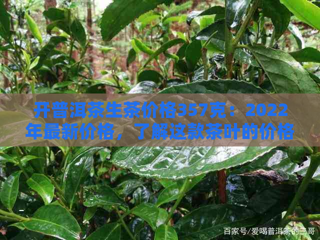 开普洱茶生茶价格357克：2022年最新价格，了解这款茶叶的价格是多少吗？