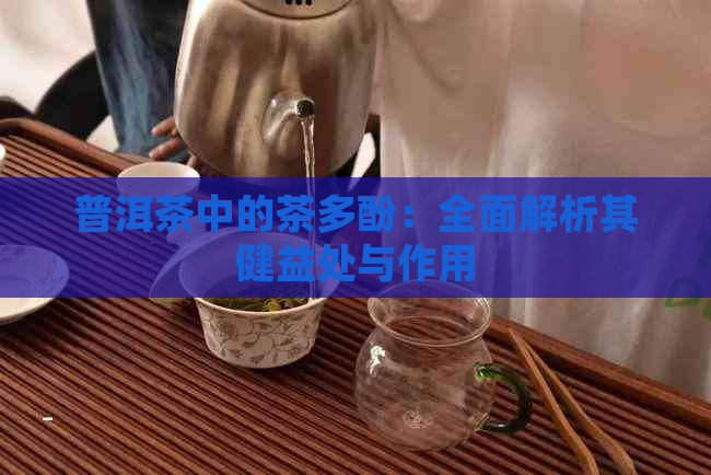 普洱茶中的茶多酚：全面解析其健益处与作用