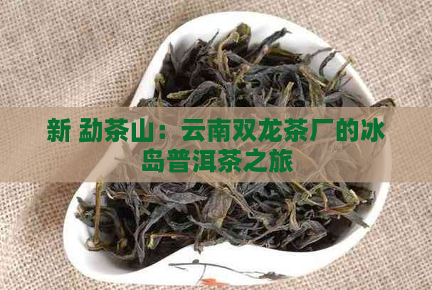 新 勐茶山：云南双龙茶厂的冰岛普洱茶之旅