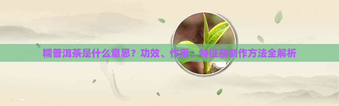 糯普洱茶是什么意思？功效、作用、特征及制作方法全解析