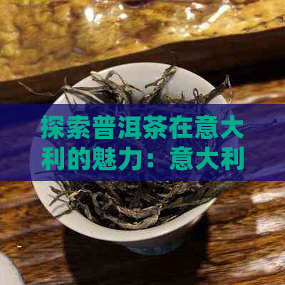 探索普洱茶在意大利的魅力：意大利语视角下的普洱茶文化