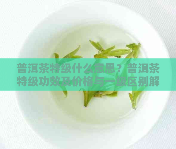 普洱茶特级什么意思？普洱茶特级功效及价格与一级区别解析