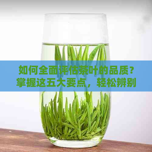 如何全面评估茶叶的品质？掌握这五大要点，轻松辨别好茶坏茶