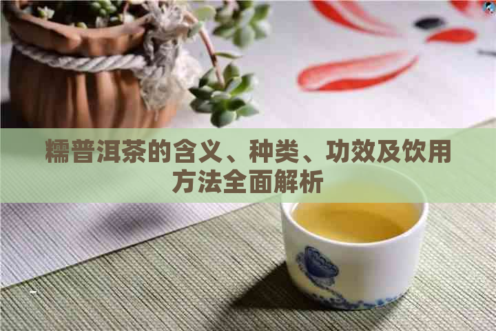 糯普洱茶的含义、种类、功效及饮用方法全面解析