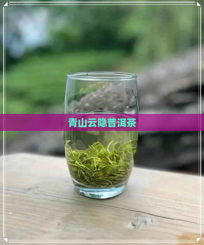 青山云隐普洱茶