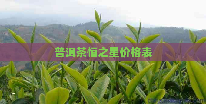 普洱茶恒之星价格表