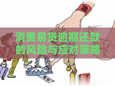 消费易贷逾期还款的风险与应对策略