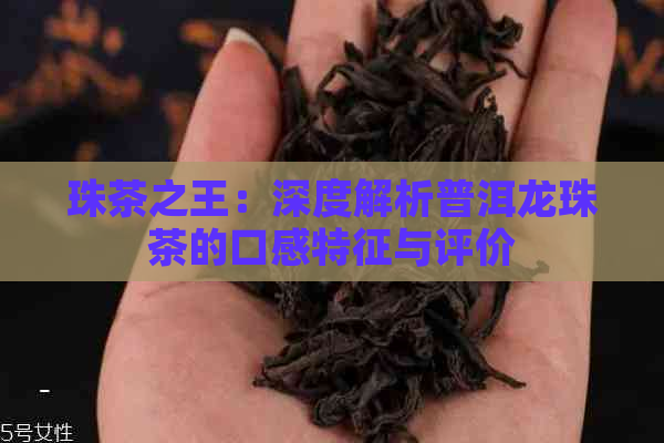 珠茶之王：深度解析普洱龙珠茶的口感特征与评价