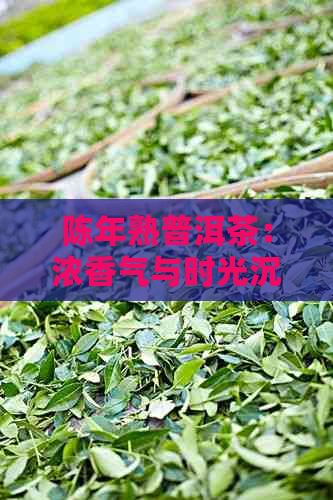 陈年熟普洱茶：浓香气与时光沉淀的完美融合