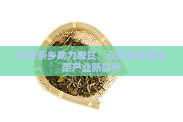 凤庆茶乡助力脱贫：云南特色普洱茶产业新篇章