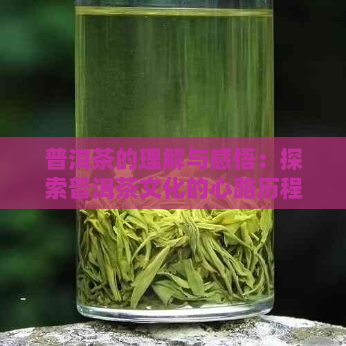 普洱茶的理解与感悟：探索普洱茶文化的心路历程