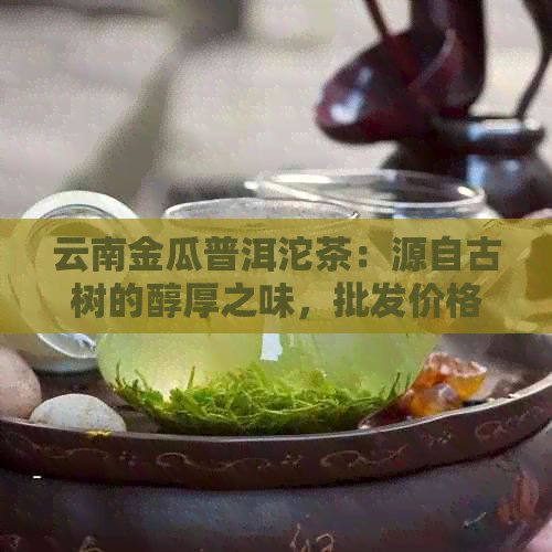 云南金瓜普洱沱茶：源自古树的醇厚之味，批发价格优，等您选购