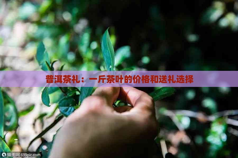 普洱茶礼：一斤茶叶的价格和送礼选择