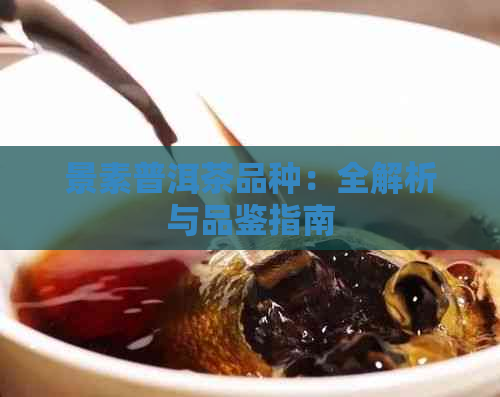 景素普洱茶品种：全解析与品鉴指南