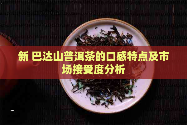 新 巴达山普洱茶的口感特点及市场接受度分析