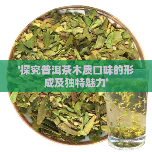 '探究普洱茶木质口味的形成及独特魅力'