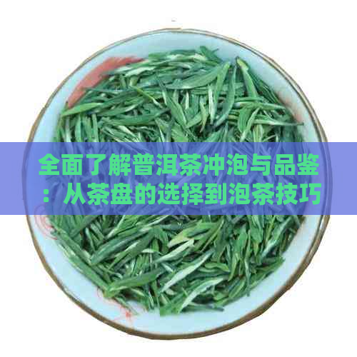 全面了解普洱茶冲泡与品鉴：从茶盘的选择到泡茶技巧