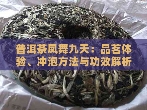 普洱茶凤舞九天：品茗体验、冲泡方法与功效解析