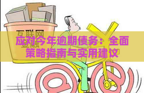 应对今年逾期债务：全面策略指南与实用建议