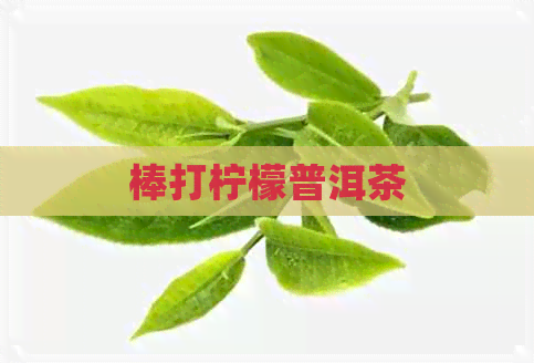 棒打柠檬普洱茶