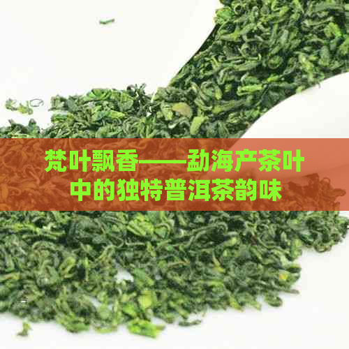 梵叶飘香——勐海产茶叶中的独特普洱茶韵味