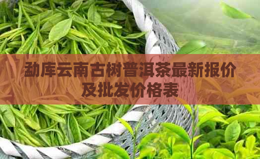 勐库云南古树普洱茶最新报价及批发价格表