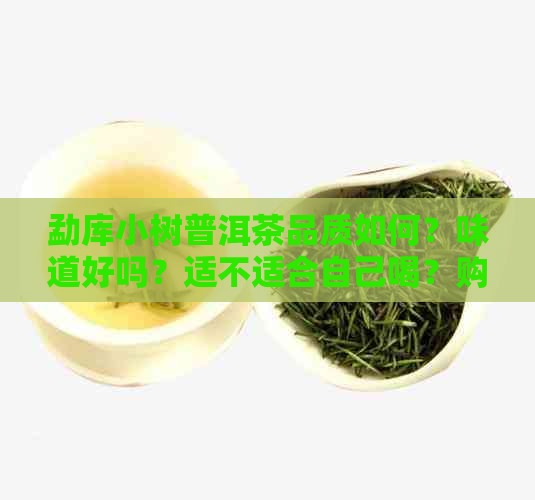 勐库小树普洱茶品质如何？味道好吗？适不适合自己喝？购买前需要注意什么？