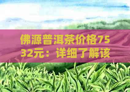 佛源普洱茶价格7532元：详细了解该款茶叶的市场价与品质