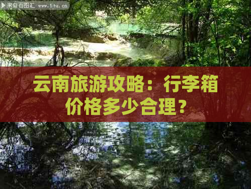 云南旅游攻略：行李箱价格多少合理？