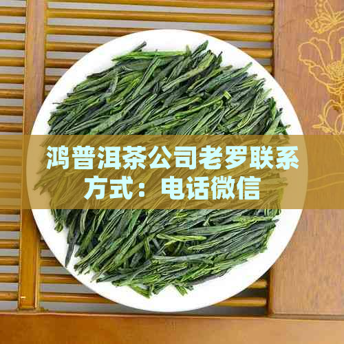 鸿普洱茶公司老罗联系方式：电话微信