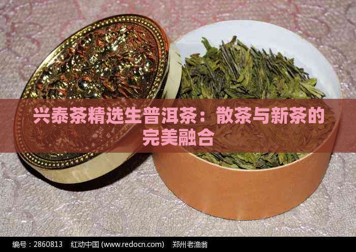 兴泰茶精选生普洱茶：散茶与新茶的完美融合