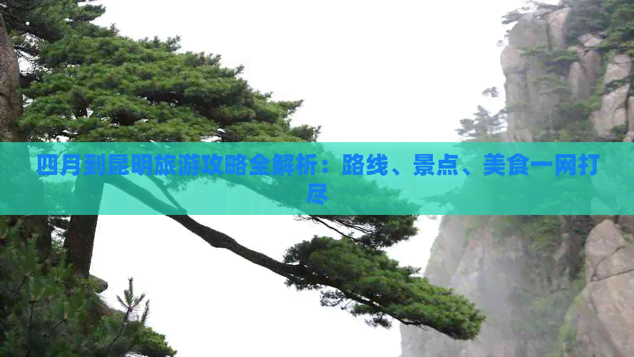 四月到昆明旅游攻略全解析：路线、景点、美食一网打尽