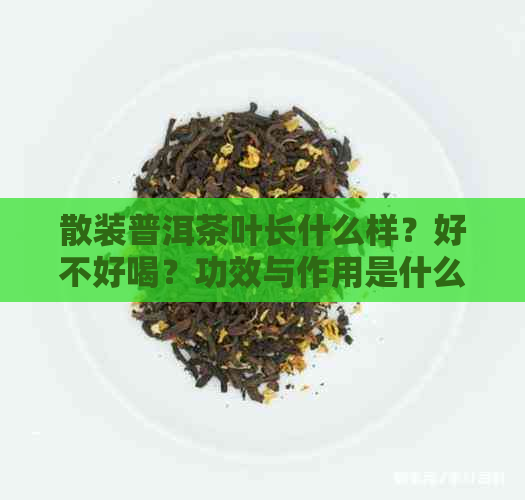 散装普洱茶叶长什么样？好不好喝？功效与作用是什么？