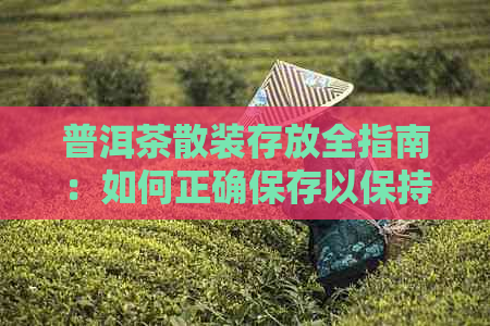 普洱茶散装存放全指南：如何正确保存以保持茶叶品质和口感