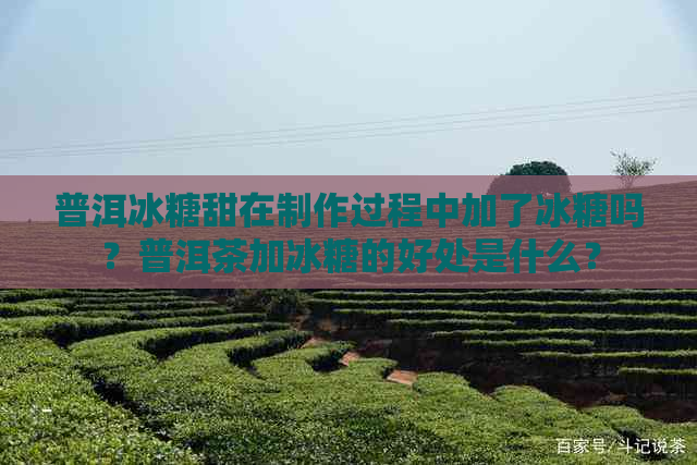 普洱冰糖甜在制作过程中加了冰糖吗？普洱茶加冰糖的好处是什么？