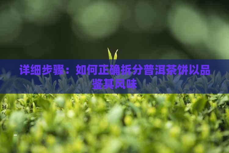 详细步骤：如何正确拆分普洱茶饼以品鉴其风味