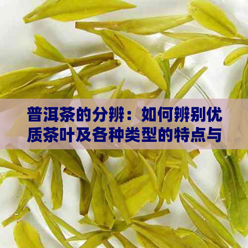 普洱茶的分辨：如何辨别优质茶叶及各种类型的特点与区别