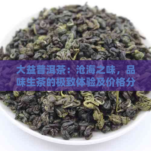 大益普洱茶：沧海之味，品味生茶的极致体验及价格分析