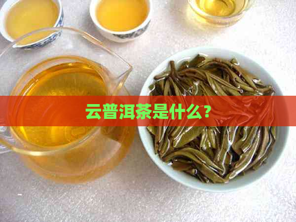 云普洱茶是什么？