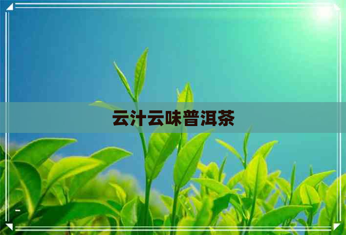 云汁云味普洱茶