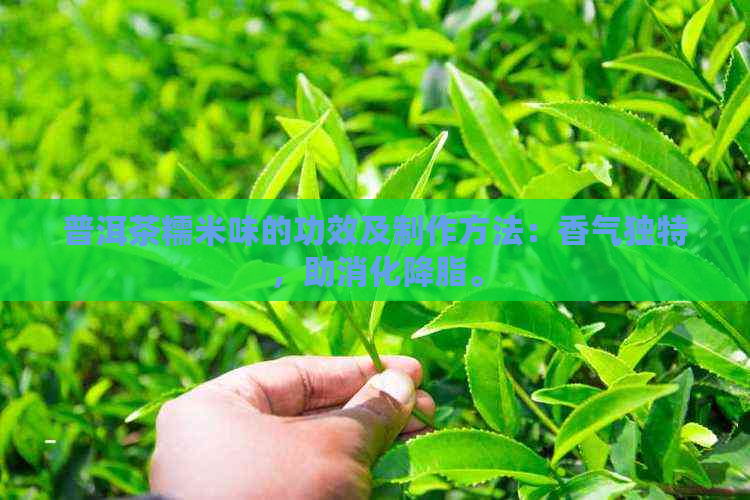 普洱茶糯米味的功效及制作方法：香气独特，助消化降脂。