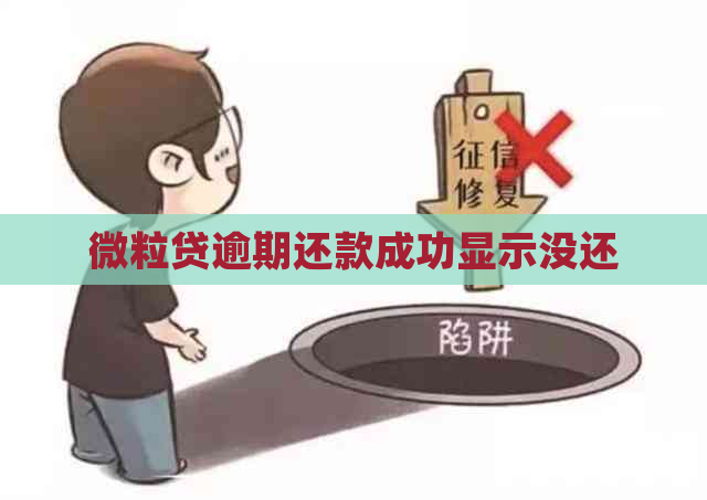 微粒贷逾期还款成功显示没还