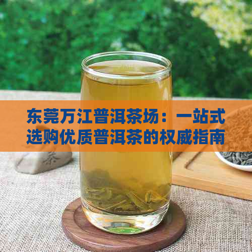 东莞万江普洱茶场：一站式选购优质普洱茶的权威指南